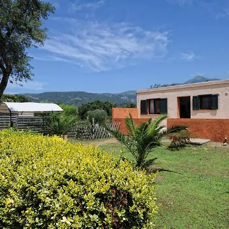 Terracorse * 菲加里