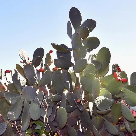 度假居 Terracorse 菲加里
