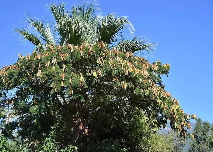 Terracorse Nyaraló Figari